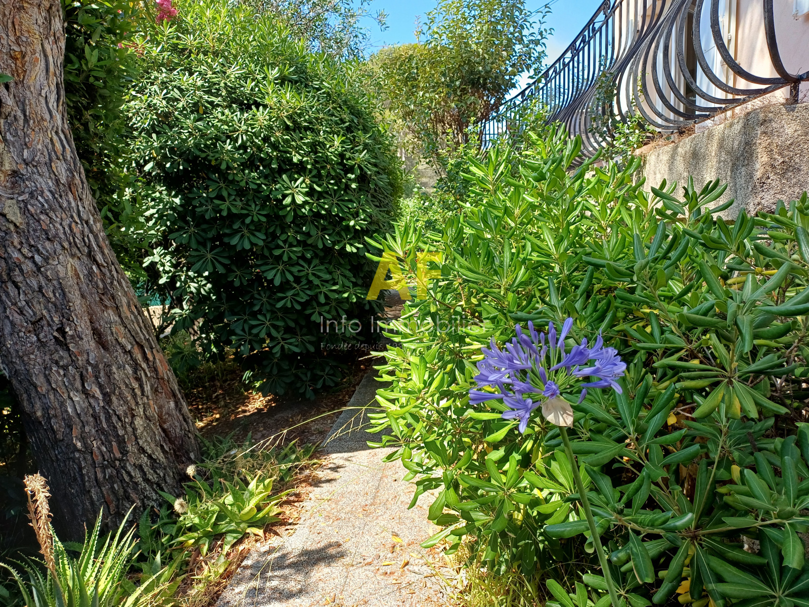 Image_, Maison, Saint-Raphaël, ref :8358